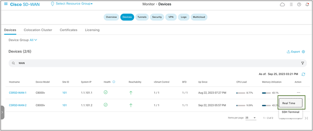 Catalyst SD-WAN Device Monitoring