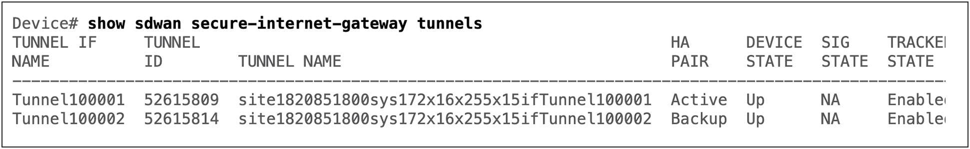 Cisco Edge Device CLI Output