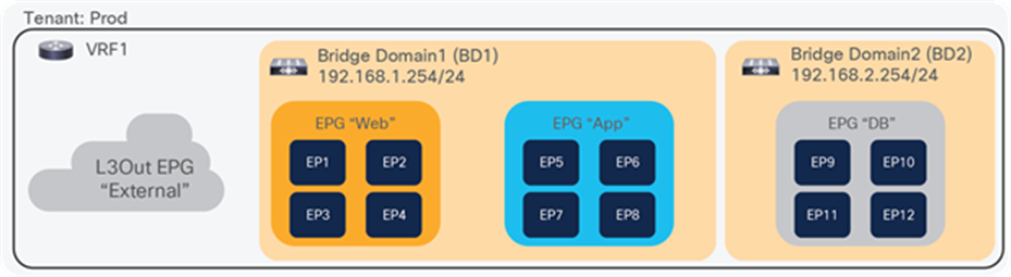 ACI logical network construct