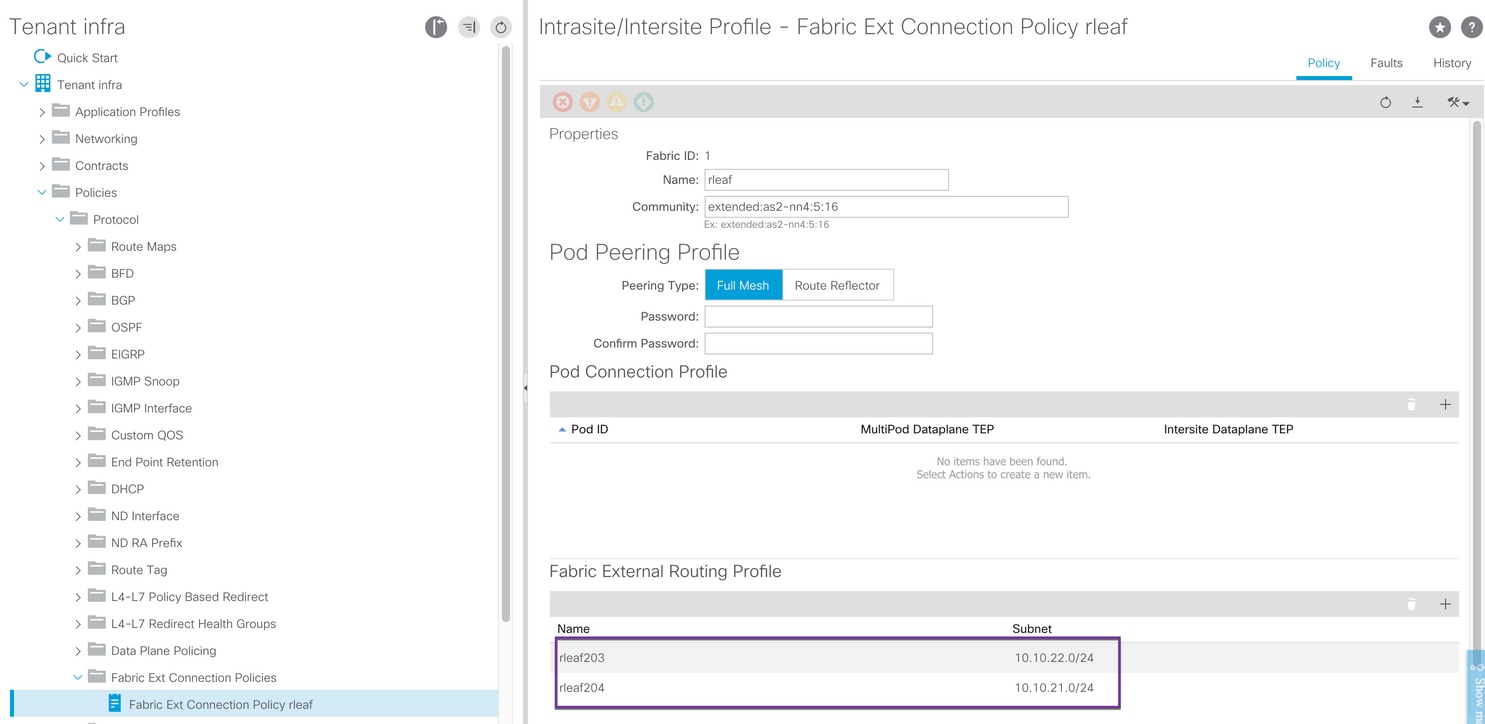 Fabric-Ext-Connection-Policy