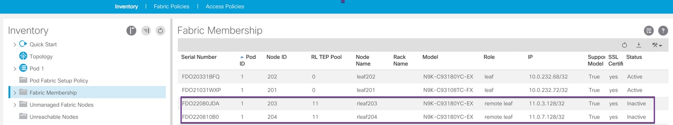rleaf l3out