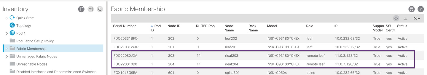 rleaf l3out