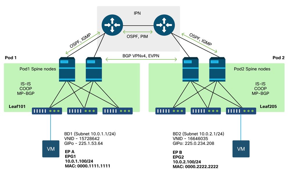 Mpod Topology