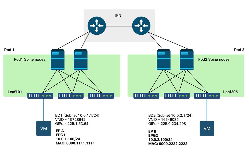 MPOD Topology