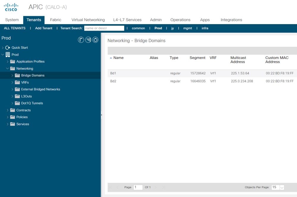 ACI Bridge Domains