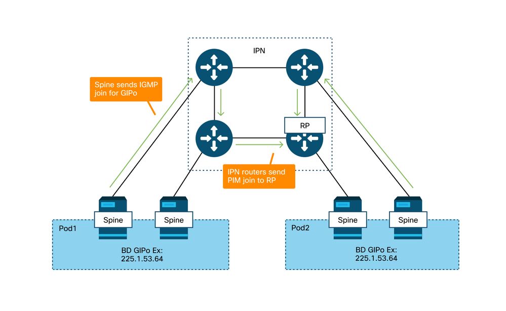 IPN Topology