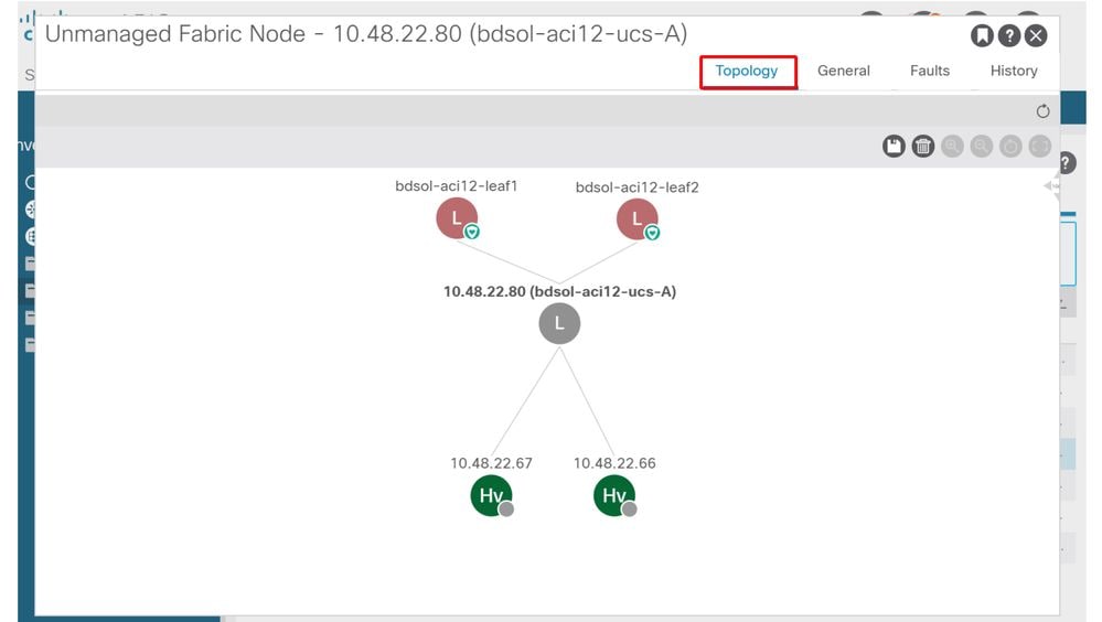 Unmanaged Fabric Node - Topology View