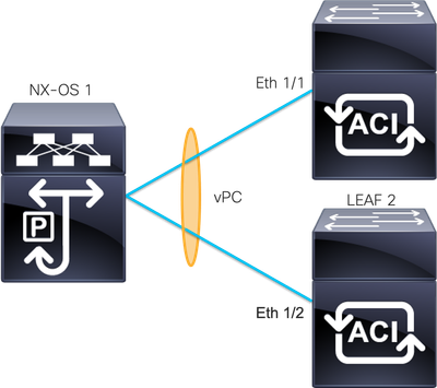 Network Diagram - LEAF connections