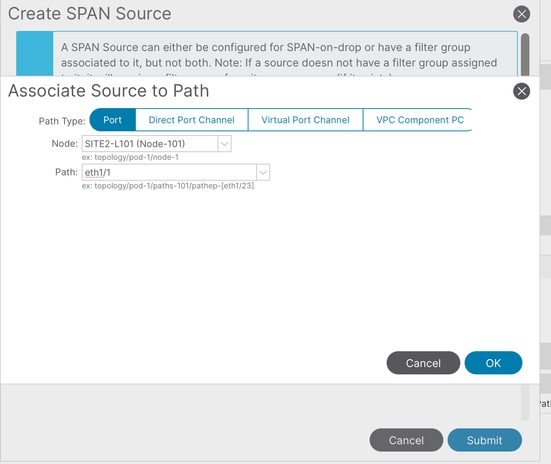 Image 8: Creation of an access ERSPAN Source path