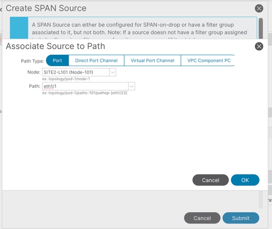 Image 15: Creation of a local access SPAN source path
