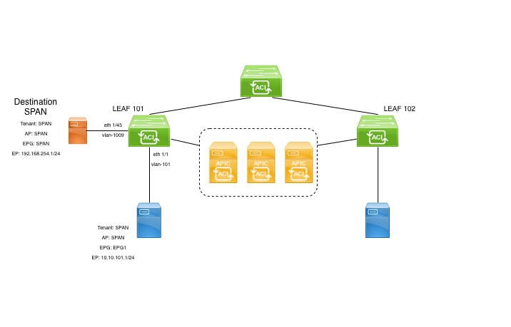 Image 16: Sample topology for Tenant ERSPAN