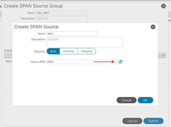 Image 21: creation of tenant ERSPAN source EPG