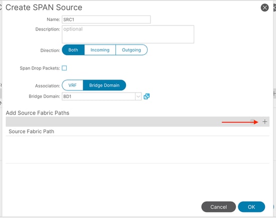Image 27: creation of tenant ERSPAN fabric path