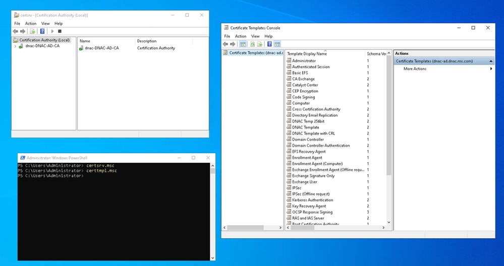 Windows Server Example