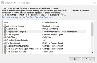 Catalyst Center Template