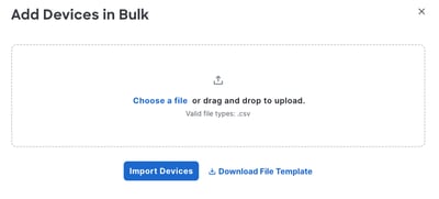 Bulk Import Option