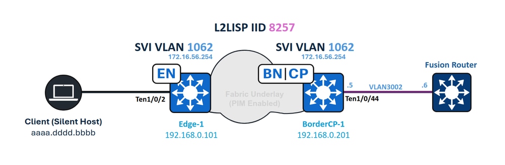 Network Topology Diagram