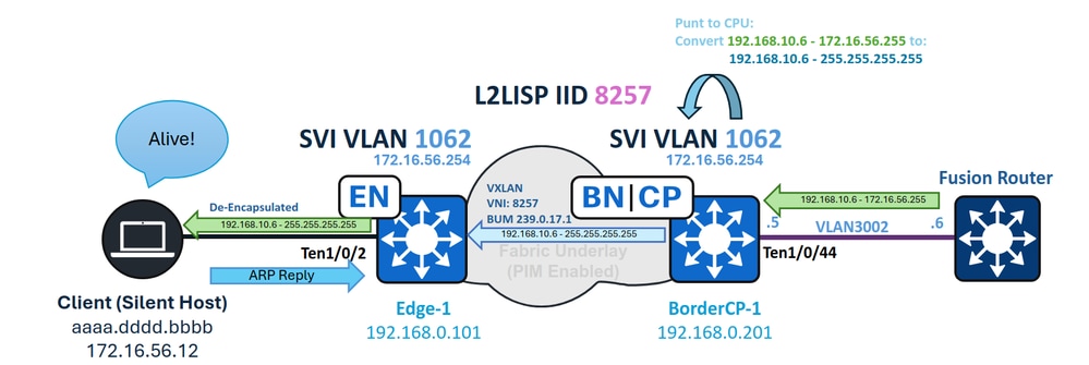 IPDB Forwarding