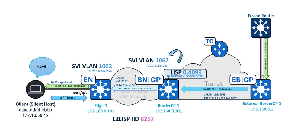 SD-Access Transit IPDB
