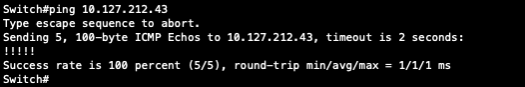 Ping test