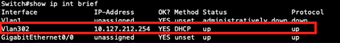 sh ip int br command