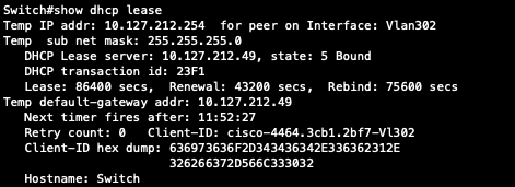 show dhcp lease
