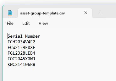 Example of the Template for a Static Asset Group