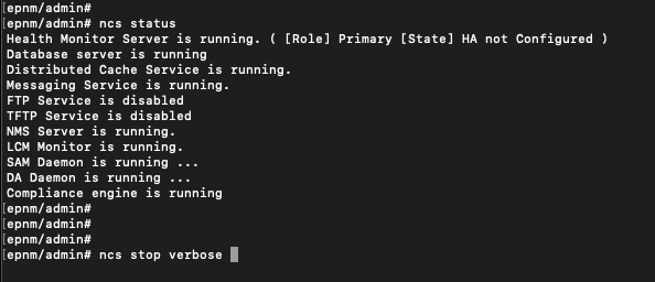 sfelix_1-1765375792327
