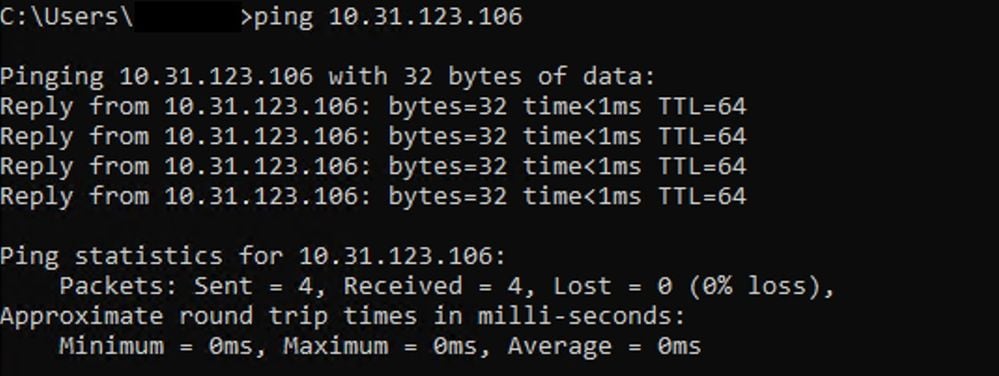 Ping Test Successful