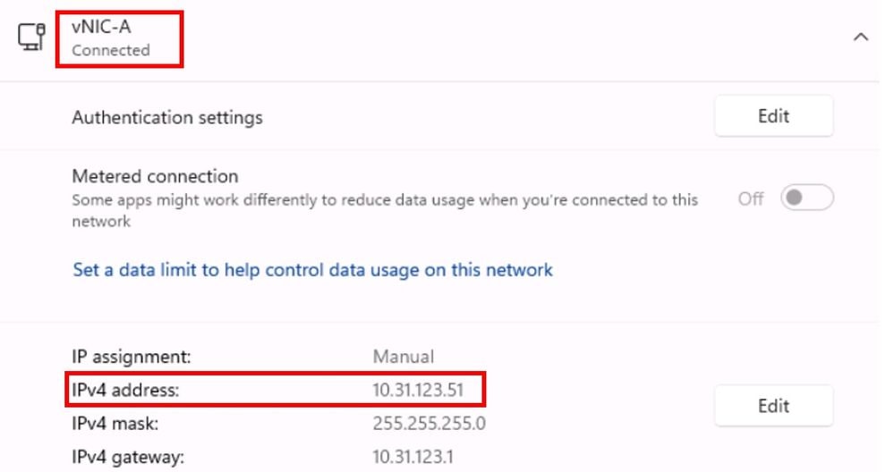 vNIC Connected in Windows