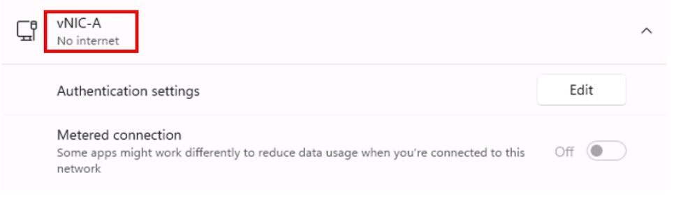 vNIC Used not Connected in Windows