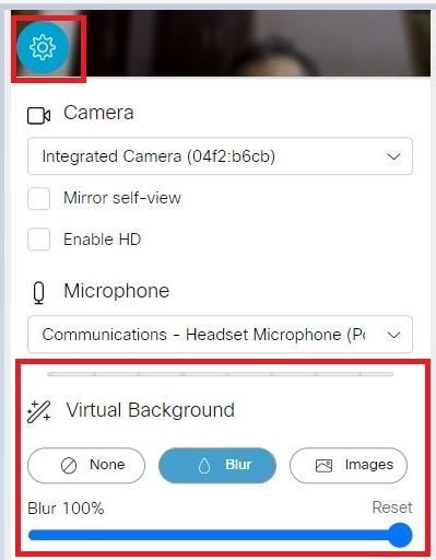 Make a test call and select the Virtual Background option.