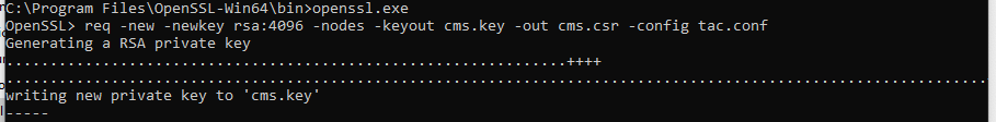 OpenSSL output