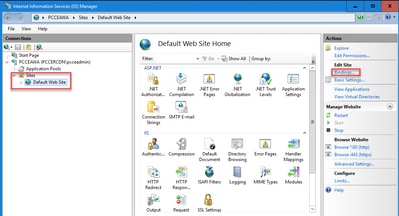 IIS Select Default Web Site while Importing