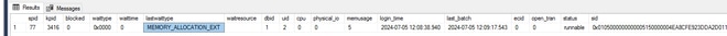 Show Version Output