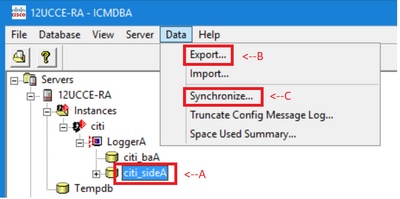 12UCCE-RA ICMDBA