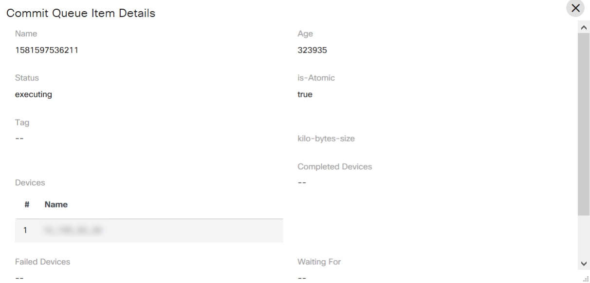 Item Details