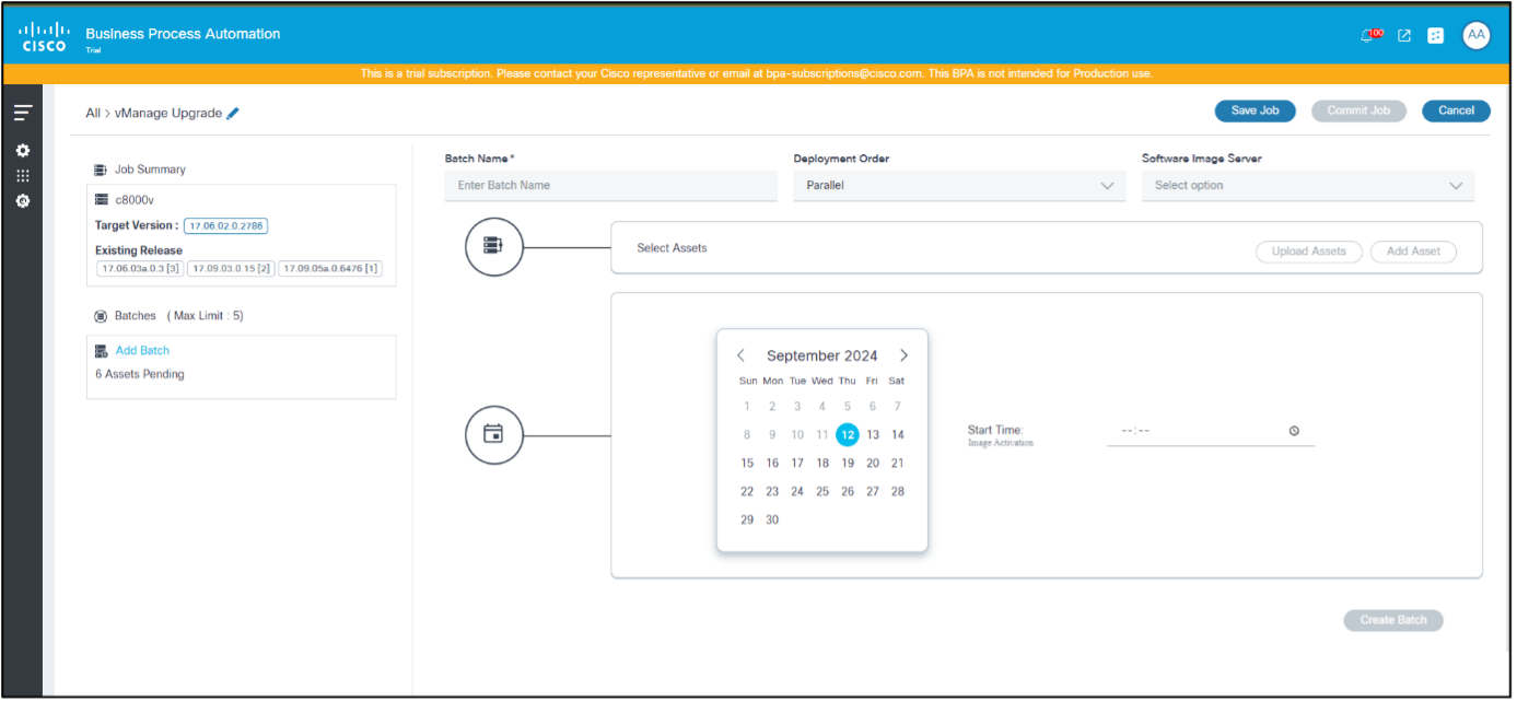 Activation Job Type Schedule Options