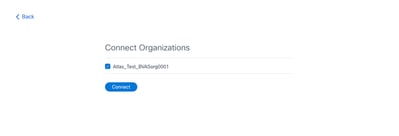 Organizzazione selezionata