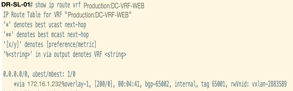 Verify the Routes in DR Server Leaf for DC-VRF-WEB