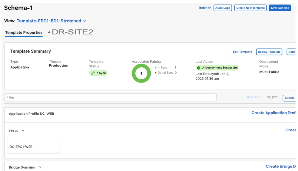 DC-SITE2 part of Template-EPG1-BD1-Stretched