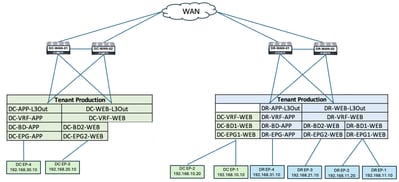 Logical Design after Undeploying the Template