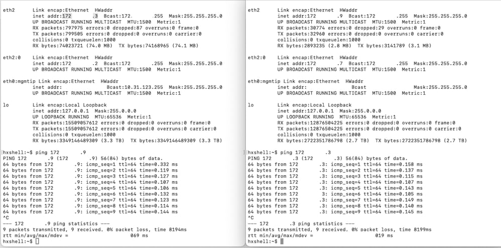 Ping Test