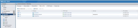 Boot from iscsi Target with MPIO - Choose iscsi boot portgroup from esxi GUI