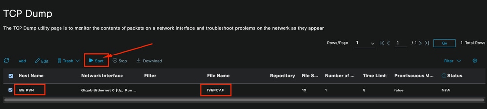 TCP 덤프 섹션