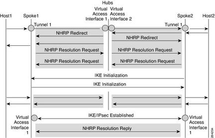 NHRP Process