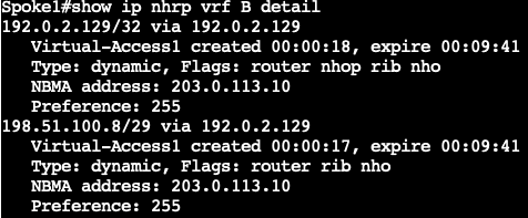 Spoke 1 - Verify NHRP Shortcut