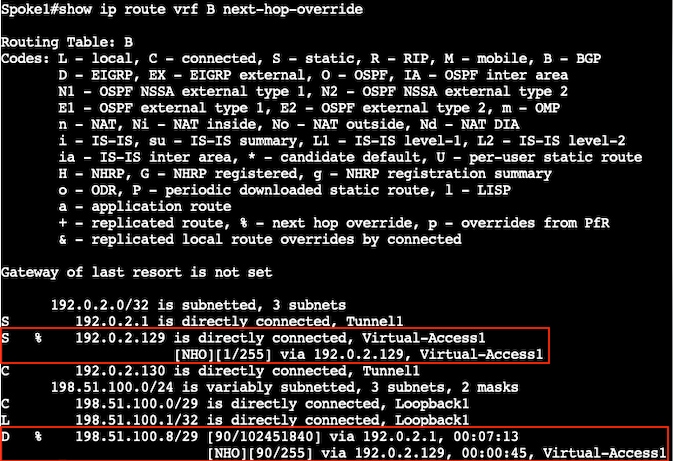 Spoke 1 -Verify NHO Routes