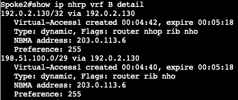 Spoke 2 - Verify NHRP Shortcut