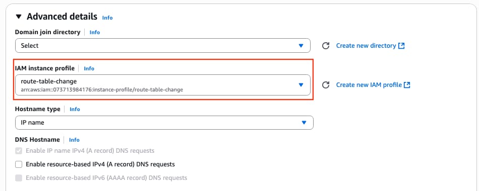 Set the IAM Instance Profile to the AMI